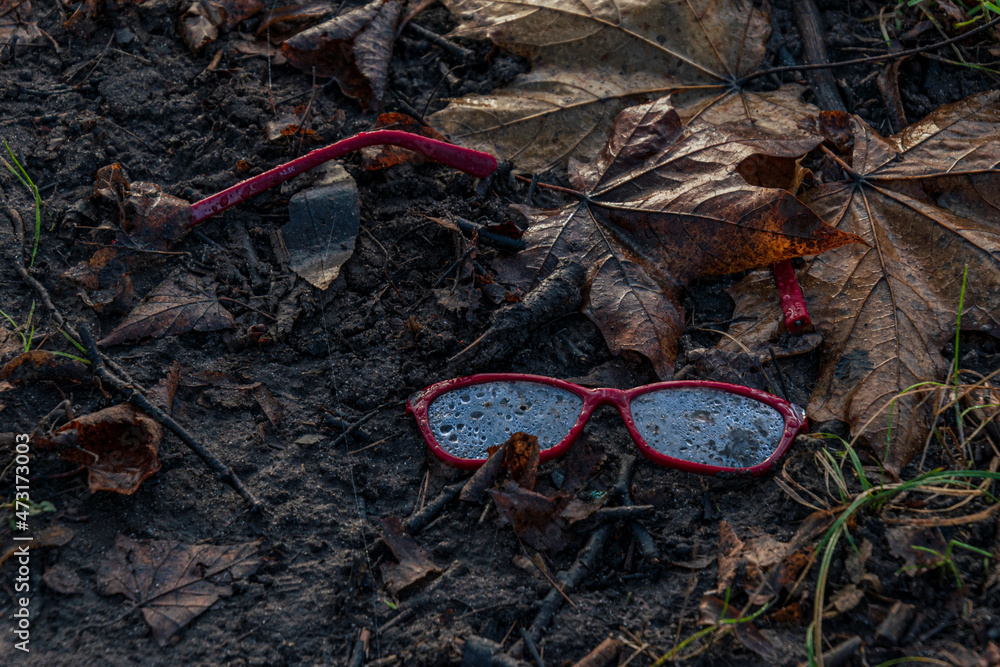 Red-framed glasses lost in the park between wet leaves. With water drops spectacles. Red-framed glasses lost in the park between wet leaves. With water drops spectacles.