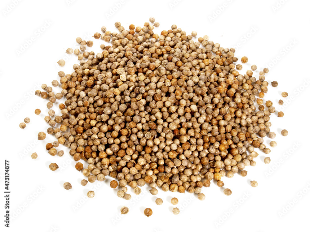 Cilantro Seeds isolated on white Background. Cilantro Seeds isolated on white Background.