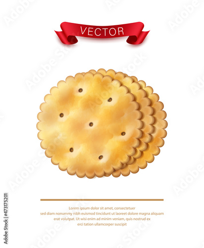 Vector icon. Realistic round crackers for brand emblem and packaging.