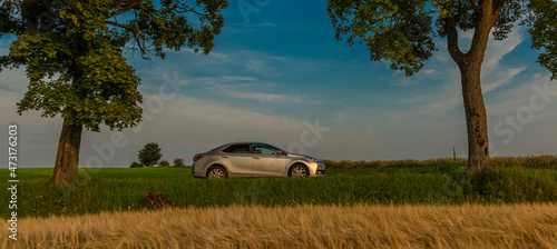 Passenger cars on alley road with leaf trees in sunset summer evening photo