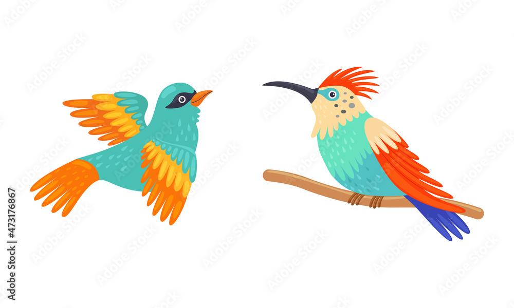 Tropical Bird with Bright Feathers Sitting on Tree Branch Vector Set Tropical Bird with Bright Feathers Sitting on Tree Branch Vector Set