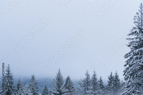 Winter Landschaft mit Schneetreiben. Fichte am rechten Rand. photo