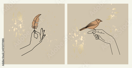 Hand drawn vector collection of mystical catds templates or banner with hands, feather and bird