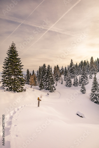 Canvastavla Winterlandschaft