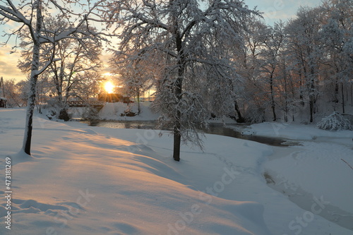 sunset in the park