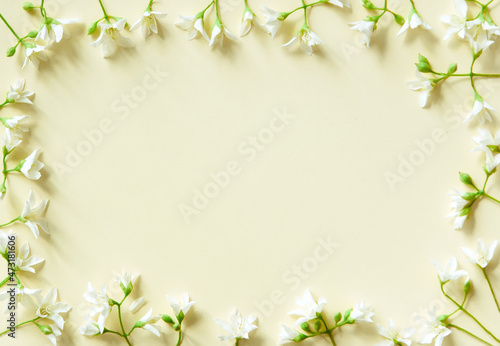 Spring background with green plants and white flowers on a light paper background. Contrast and minimalism concept. 