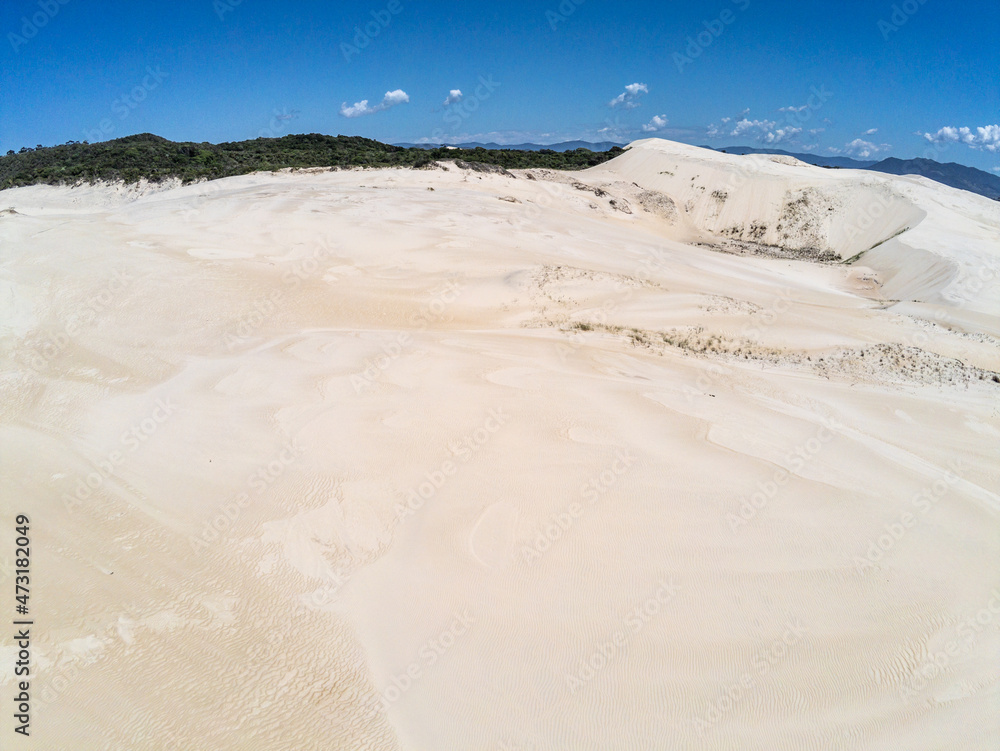 Fototapeta premium Dunes with vegetation and lake in background
