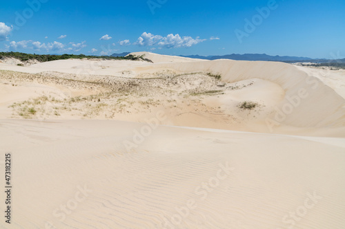 Dunes and vegetation photo