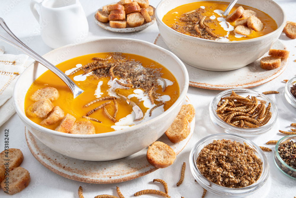 Close-up of edible insects in pumpkin soup, mealworms Close-up of edible insects in pumpkin soup, mealworms