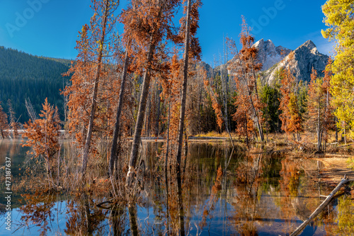 Earthquake flood on Stanley Lake in Idaho with Sawtooths