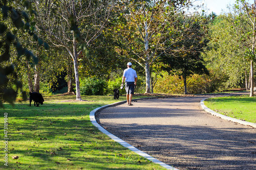 a man in a blue shirt walking his dogs down a long smooth winding footpath in the park surrounded by lush green and autumn colored trees at Garrard Landing Park in Alpharetta Georgia USA photo