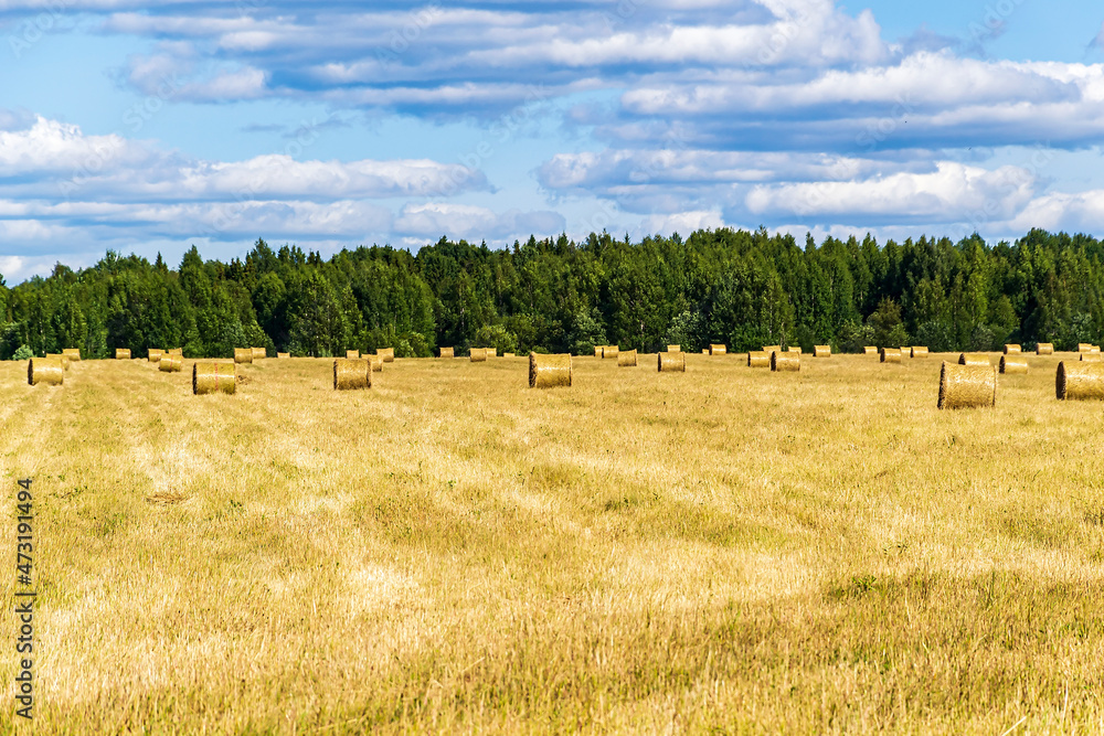 a field with straw bales