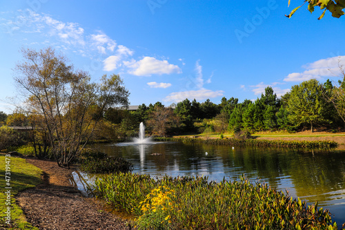 a stunning shot of the lake with a water fountain in the park surrounded by lush green and autumn colored trees with blue sky and powerful clouds at Garrard Landing Park in Alpharetta Georgia USA photo