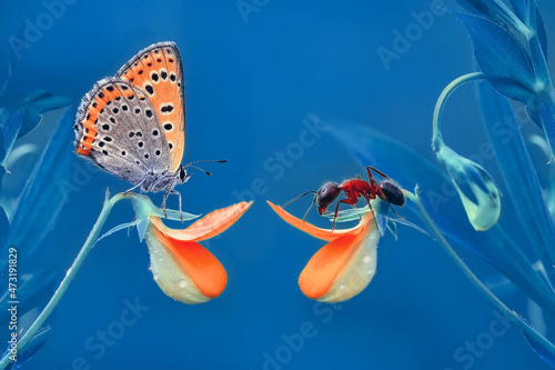 Canvas Print Macro shots, Beautiful nature scene