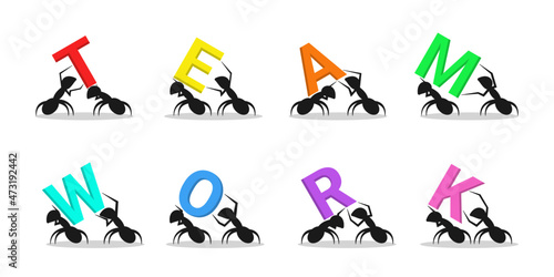 teamwork ant illustration word