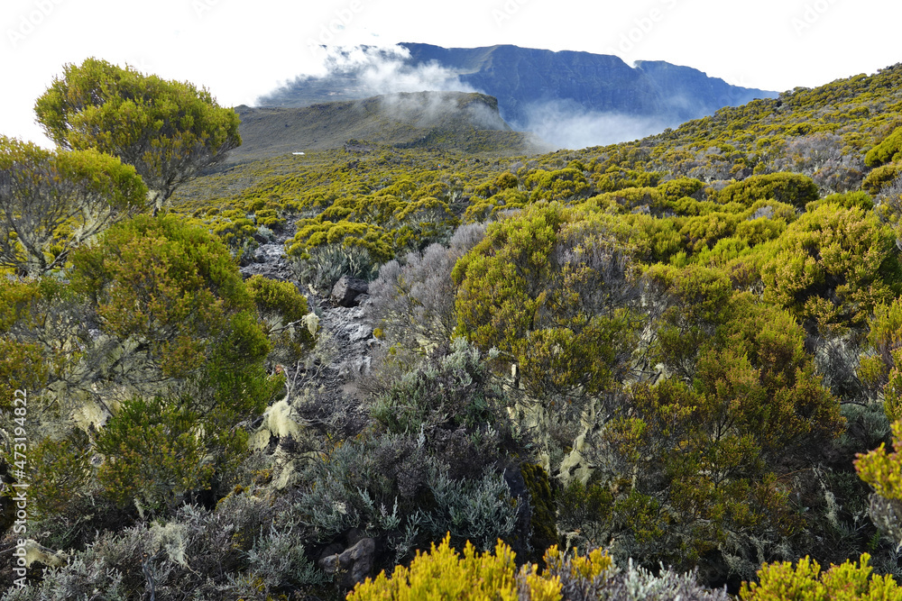 Redescente du Piton des Neiges, volcan sur l'île de la Réunion, jusqu