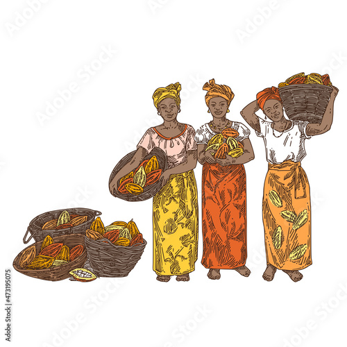 Three women pickers with baskets cocoa fruits. Color. Engraving style. Vector illustration.