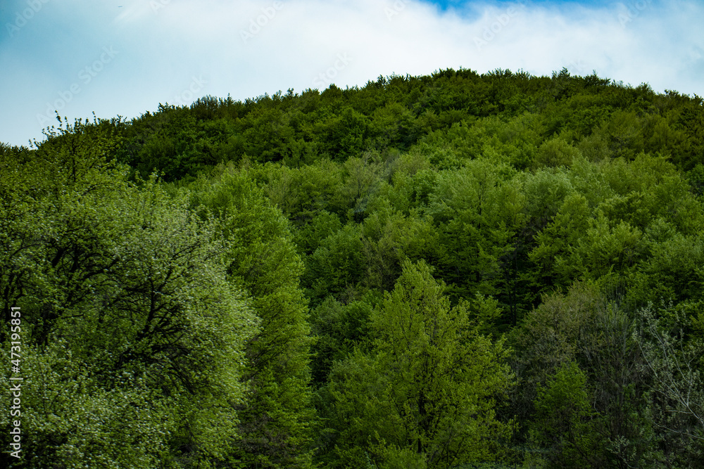 Spring in Serbia Spring in Serbia
