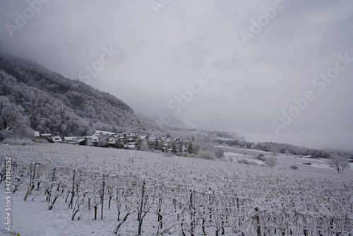 Village with vineyards in the winter