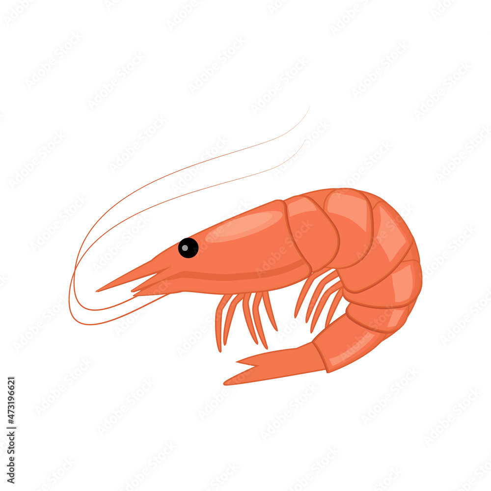 Shrimp icon in flat style, fresh sea food. Isolated on white background. Vector illustration