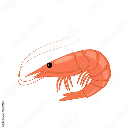 Obraz na płótnie Shrimp icon in flat style, fresh sea food. Isolated on white background. Vector illustration w salonie
