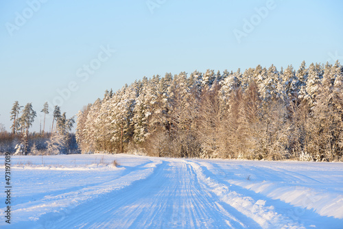 a beautiful white snowy winter road with a little sunlit trees on a nice day