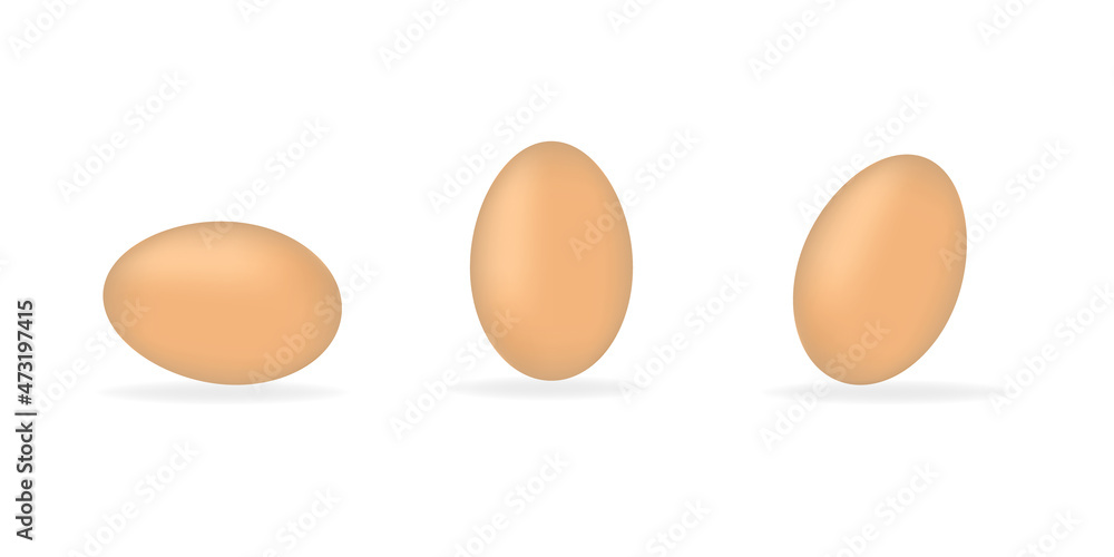 eggs on white background, vector