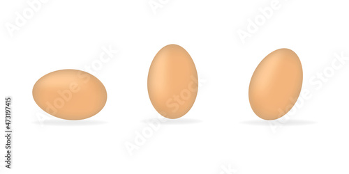 eggs on white background, vector