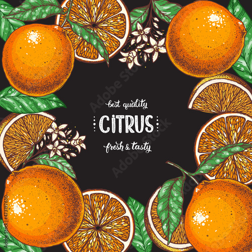 Orange fruit frame. Fresh citrus collection. Hand drawn vector illustration. Organic food, citrus design template. Colored illustration.