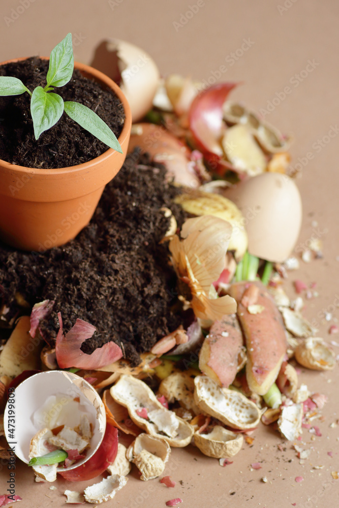 Organic waste, heap of bio compost with organic matter and