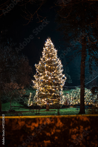 Beautiful, tall christmas tree glowing in the dark, located in the museum park of picturesque Samobor town, in the continental Croatia