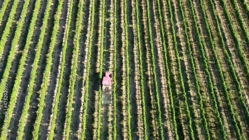 Aerial view of a tractor working on the grapeyards photo