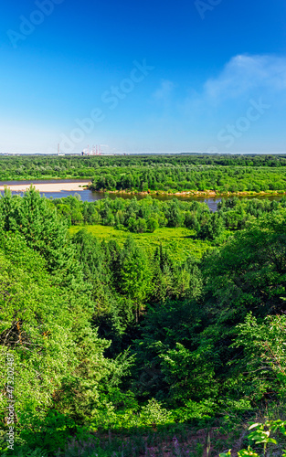 view of the forest and the river on a sunny summer day