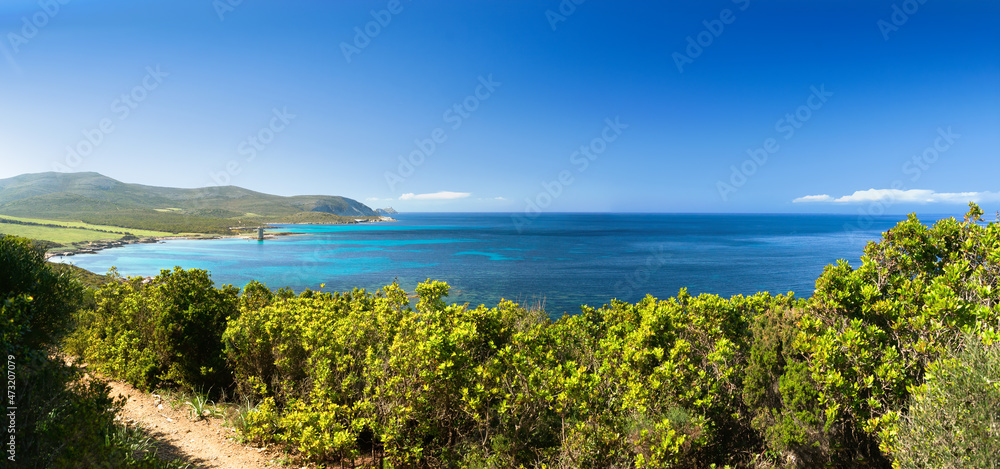 Deserted beach with turquoise and transparent sea between the 