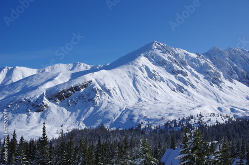 Zimowy pejzaż z Doliny Gąsienicowej w Tatrach 
