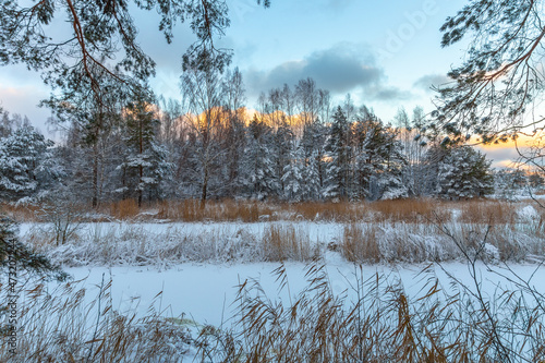 Winter outdoor landscape with lake, trees and show