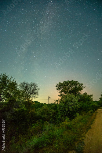 milky way and road to the forest 