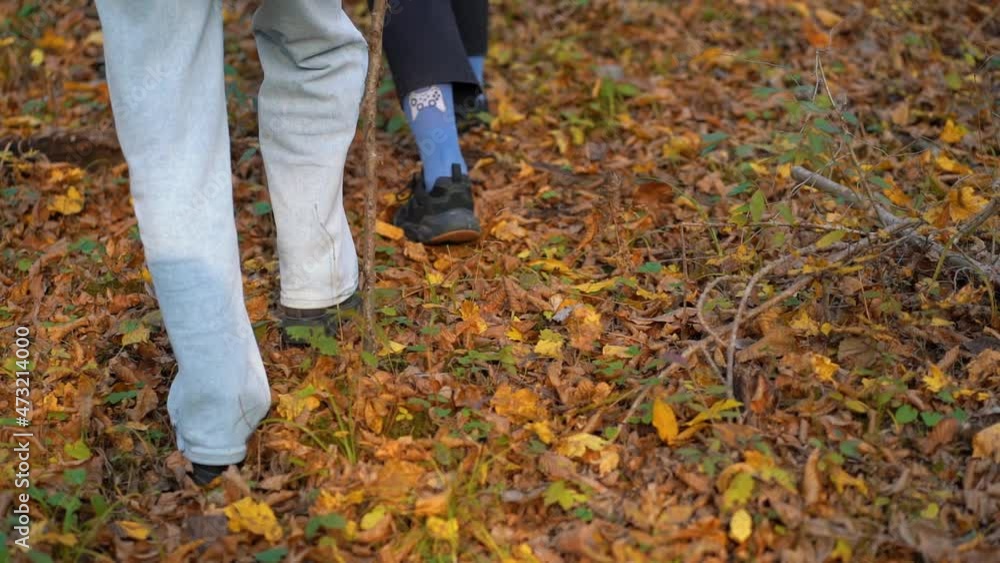 Two unrecognizable people walk through the forest on golden leaves in the autumn. View of the legs. Copy space. Slow motion. Outdoor. Two unrecognizable people walk through the forest on golden leaves in the autumn. View of the legs. Copy space. Slow motion. Outdoor.