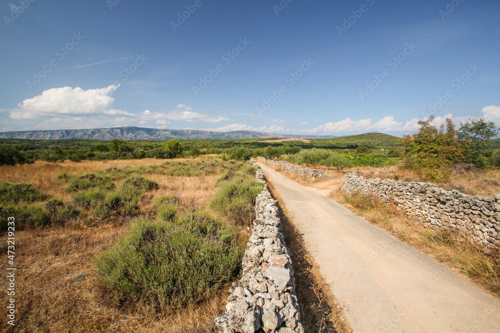 Famous historic agricultural Greek plain at Stari Grad on Hvar island