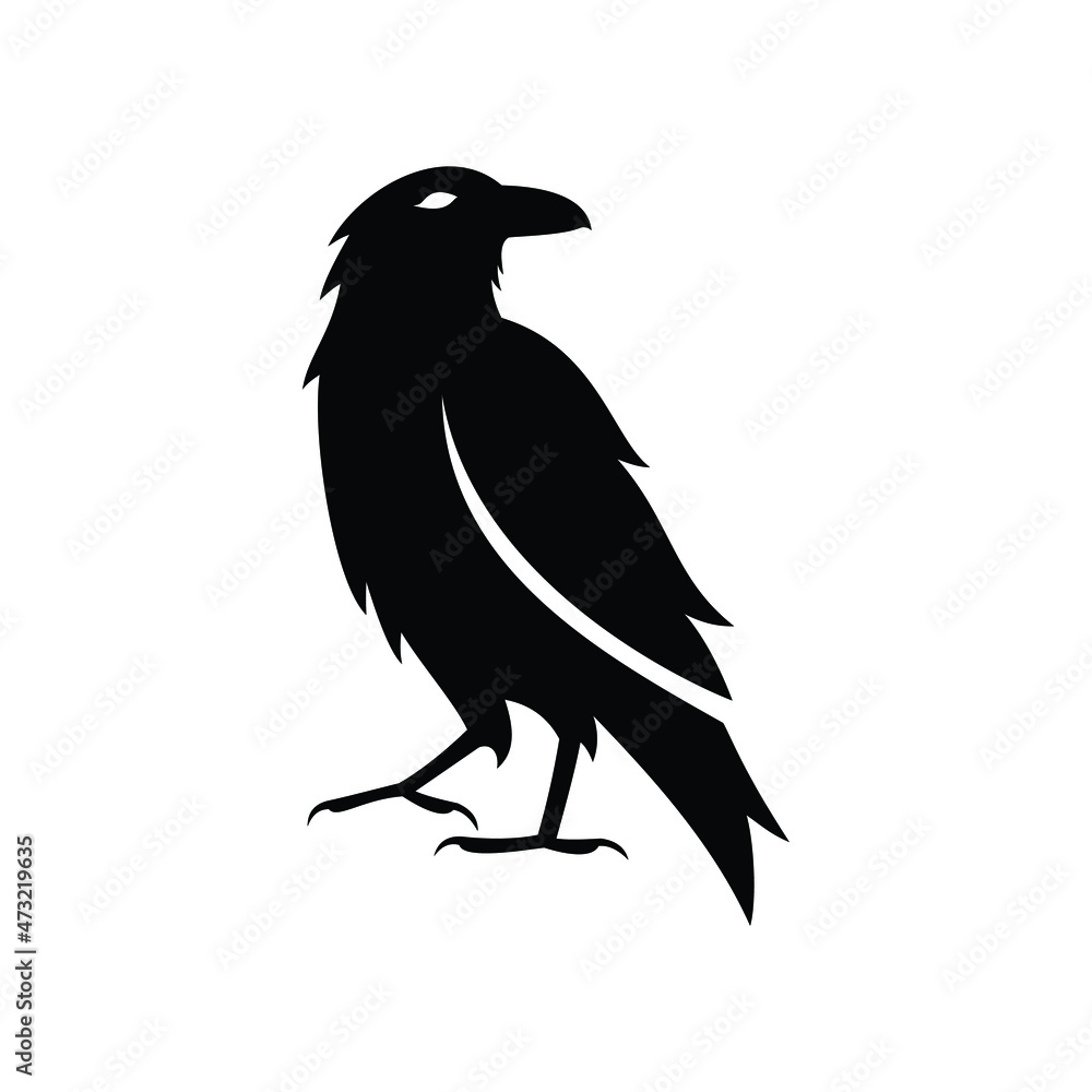 Fototapeta premium crow on a white background