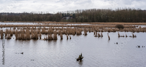 Nature landscape view over the water of the Het Vinne Flemish nature reserve in Zoutleeuw, Belgium. © Werner