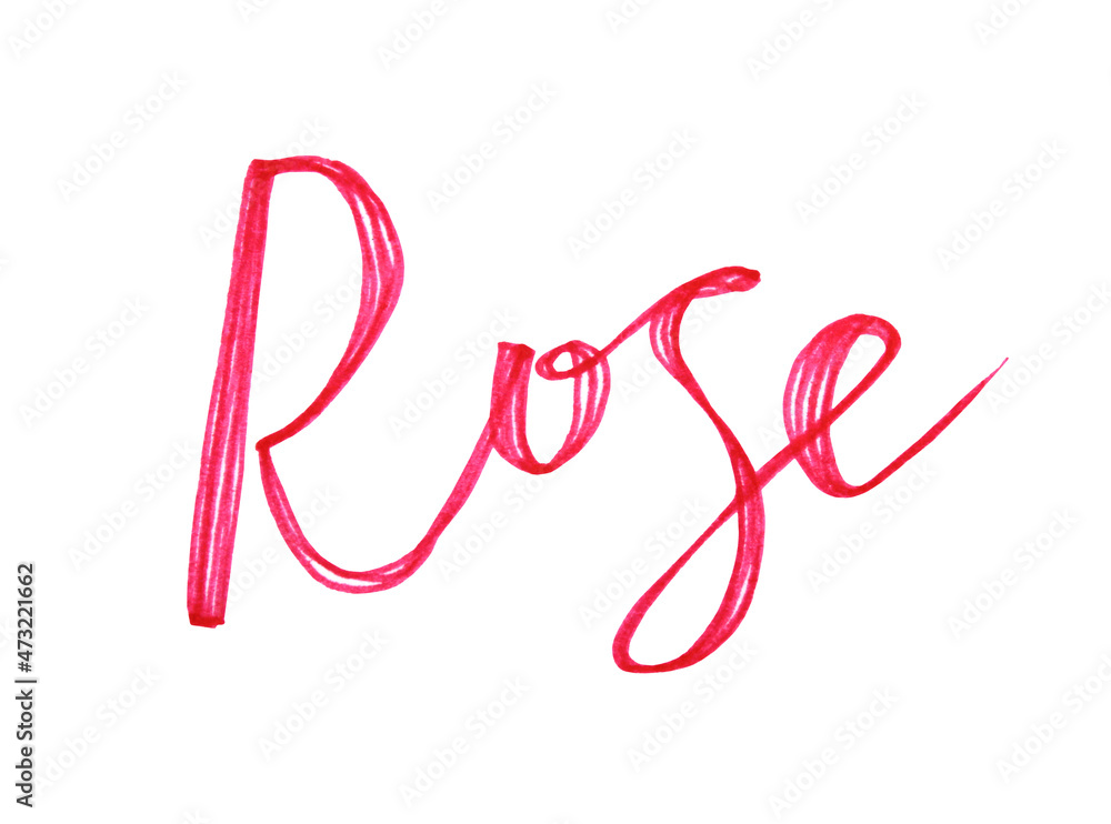Lettering pink hand-drawn word rose isolated on white background. Creative art liner or marker felt-pen. Clipart for wedding celebration 8 march Valentine's day sketchbook wrapping wallpaper Lettering pink hand-drawn word rose isolated on white background. Creative art liner or marker felt-pen. Clipart for wedding celebration 8 march Valentine's day sketchbook wrapping wallpaper