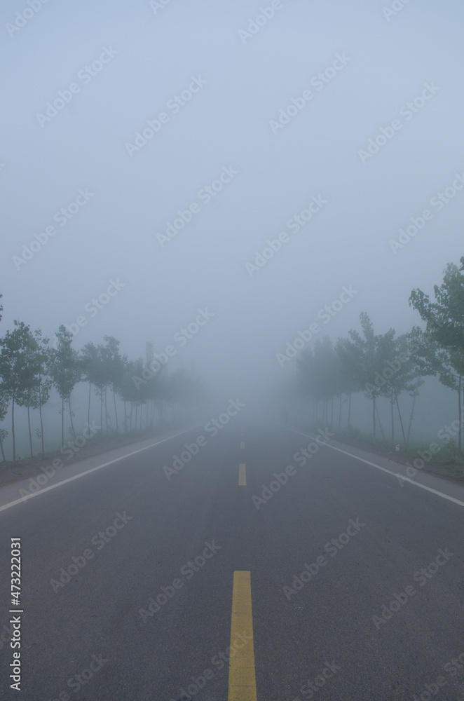 Lonely Foggy rural road, low visibility.