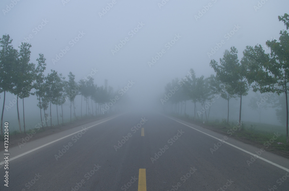 Lonely Foggy rural road, low visibility.