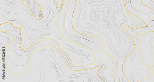 Luxury golden topographic map background wit glitter line gold and silver on gray background.Topographic abstract design for web, backgrounds, wallpaper, packaging, apparel. Vector lines pattern