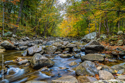 Fall Color on Lower Glade Creek  New River Gorge National Park  West Virginia  USA