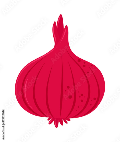red onion fresh