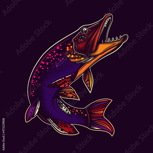 Original vector illustration in vintage style. Fish-pike. T-shirt design, stickers, print.