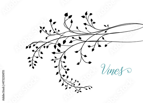 Ivy vine design vector, floral wedding design or nature illustration, elegant fancy border design of leaves in hand drawn sketch vector