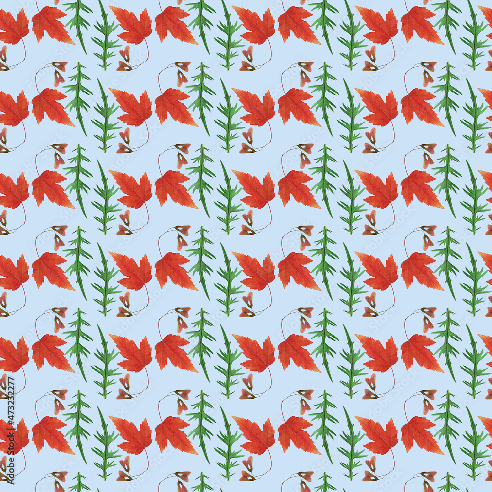 Maple leaf, thistle leaf. Illustration, texture of flowers. Seamless pattern for continuous replication. Floral background, photo collage for textile, cotton fabric. For wallpaper, covers, print. Maple leaf, thistle leaf. Illustration, texture of flowers. Seamless pattern for continuous replication. Floral background, photo collage for textile, cotton fabric. For wallpaper, covers, print.